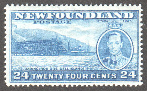 Newfoundland Scott 241 MNH F (P13.7) - Click Image to Close